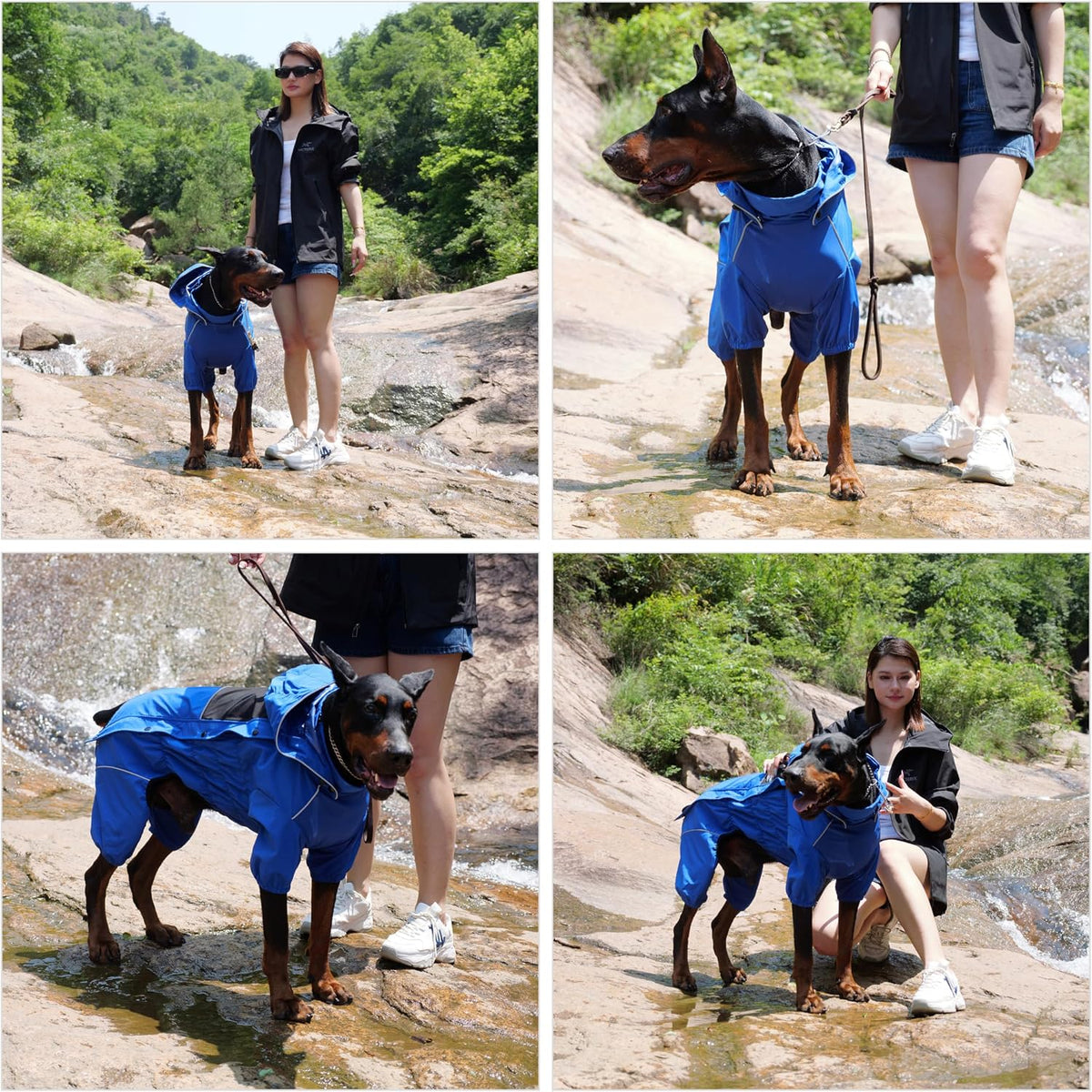 Waterproof Dog Raincoat with Removable Hood – Outdoor Full Body Dog Jacket, Windproof Snowproof Shell Suit – All Season Pet Rain Gear Sage Green L
