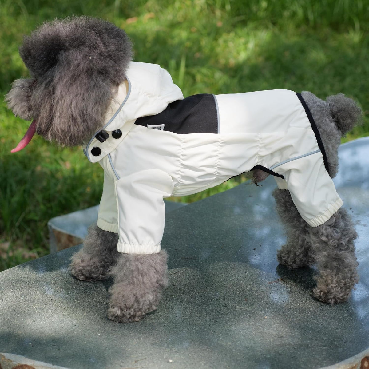 Waterproof Dog Raincoat with Removable Hood – Outdoor Full Body Dog Jacket, Windproof Snowproof Shell Suit – All Season Pet Rain Gear Sage Green L
