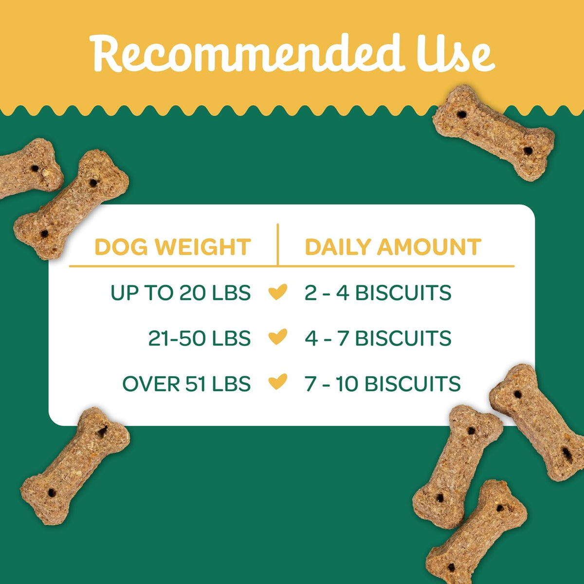 Nature's Biscuits Dog Treats, Pumpkin, 16 oz