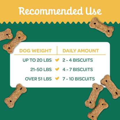 Nature's Biscuits Dog Treats, Pumpkin, 16 oz