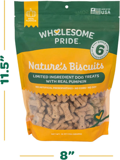 Nature's Biscuits Dog Treats, Pumpkin, 16 oz