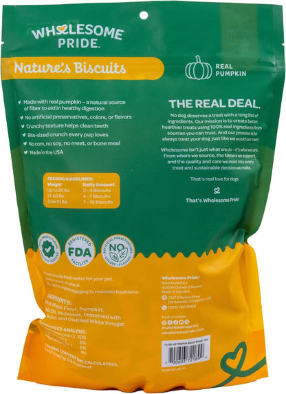 Nature's Biscuits Dog Treats, Pumpkin, 16 oz