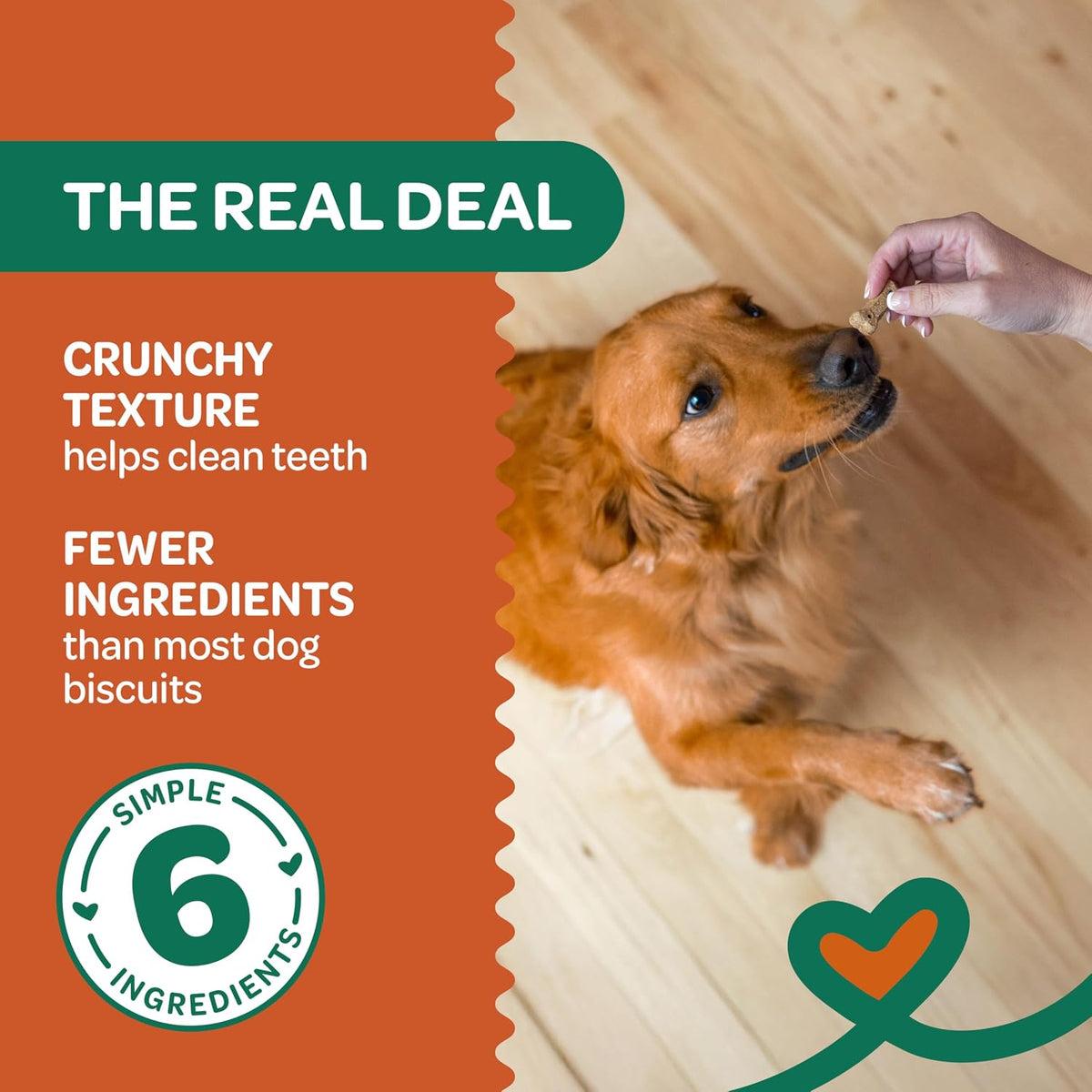 Nature's Biscuits Dog Treats, Pumpkin, 16 oz
