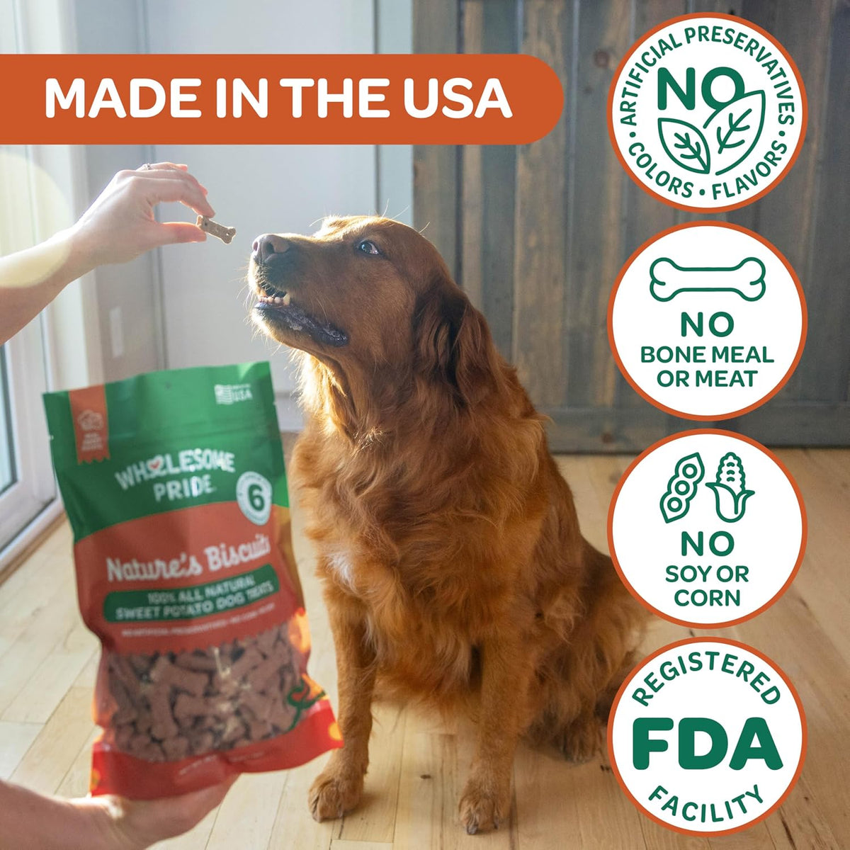 Nature's Biscuits Dog Treats, Pumpkin, 16 oz
