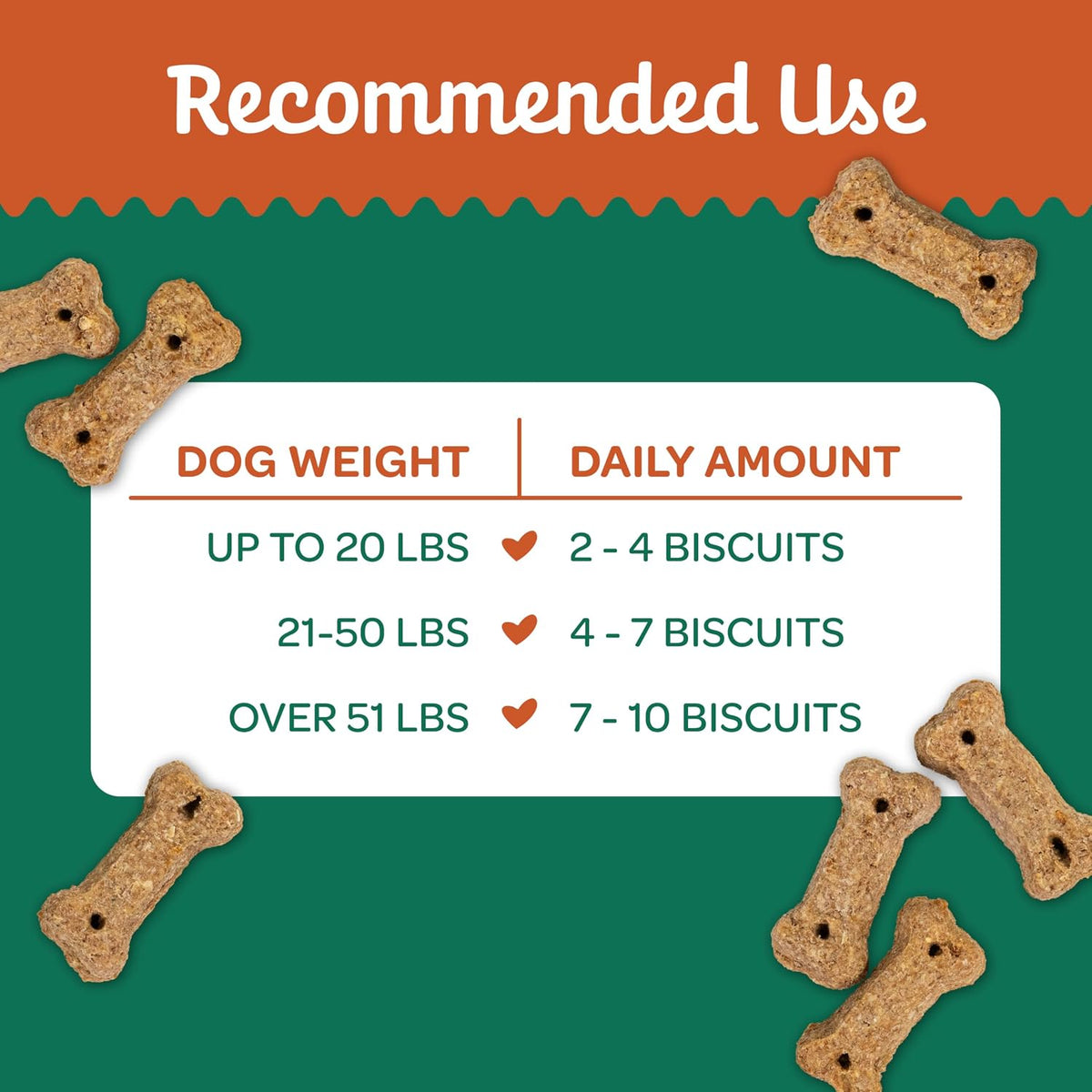 Nature's Biscuits Dog Treats, Pumpkin, 16 oz