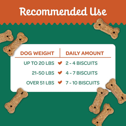 Nature's Biscuits Dog Treats, Pumpkin, 16 oz
