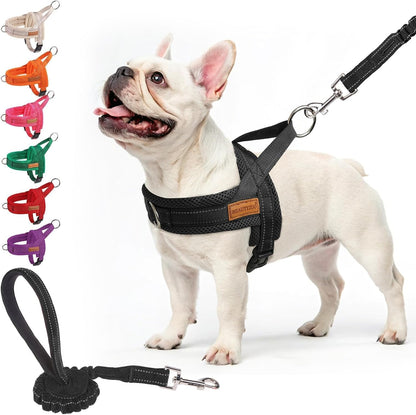 Dog Harness Medium Sized and Leash Set, No Pull Step in Pet Vest