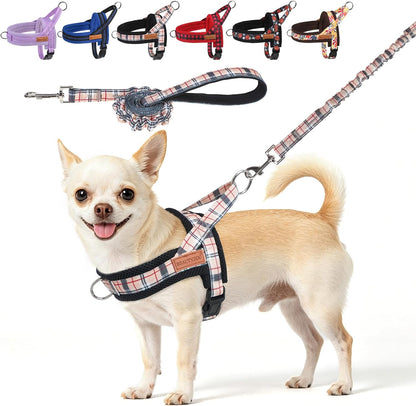 Dog Harness Medium Sized and Leash Set, No Pull Step in Pet Vest