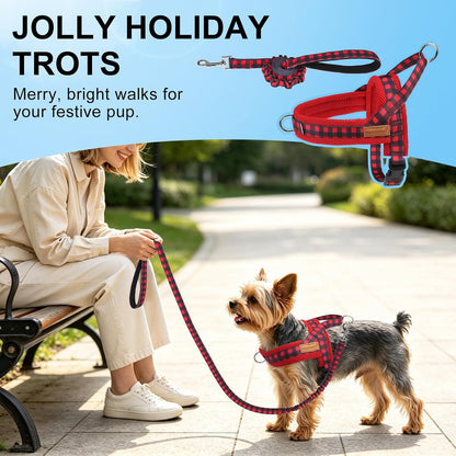 Dog Harness Medium Sized and Leash Set, No Pull Step in Pet Vest