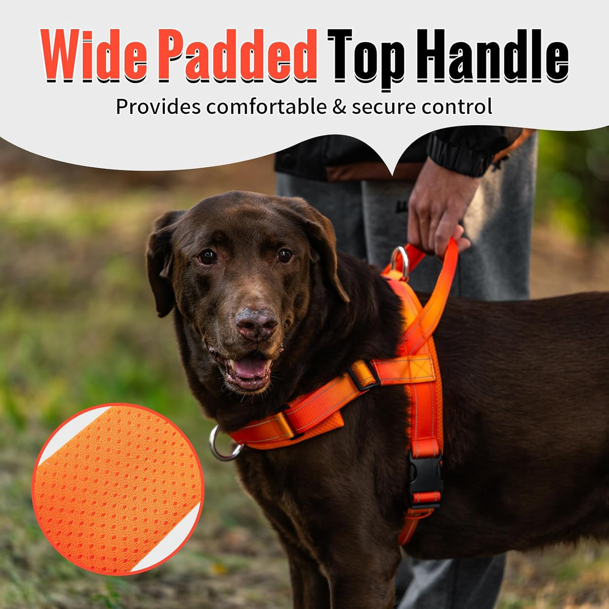 No Pull Dog Harness with Soft Mesh Padded, Fully Adjustable Walking Harness with Handle for Medium Large Dogs, Reflective Front Clip Harness for Training and Hiking, Orange, M