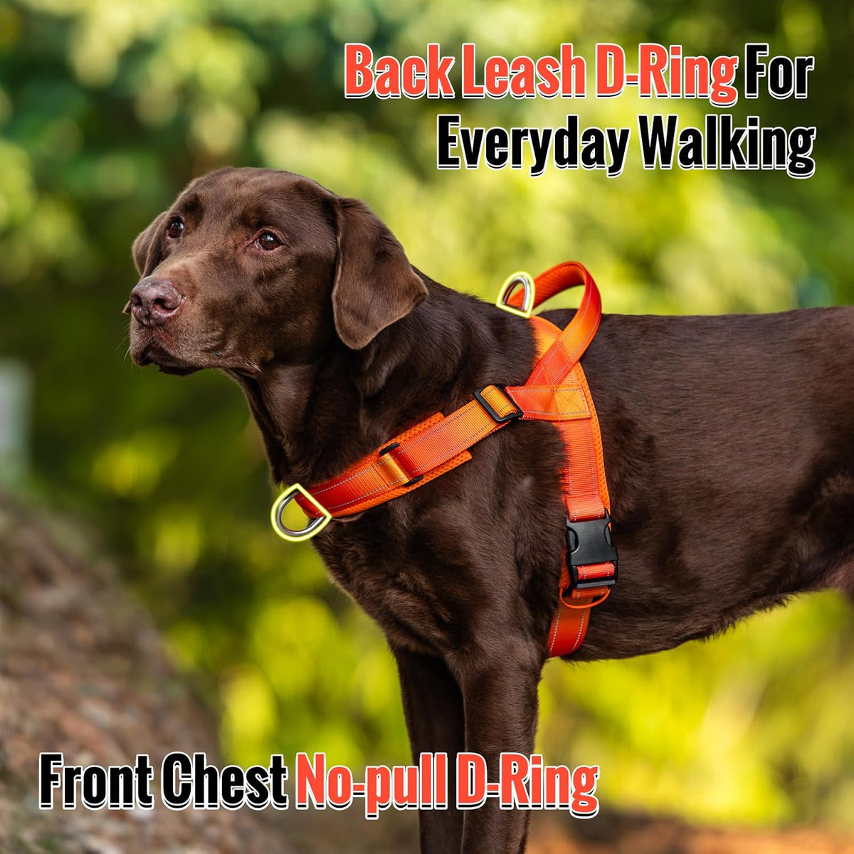 No Pull Dog Harness with Soft Mesh Padded, Fully Adjustable Walking Harness with Handle for Medium Large Dogs, Reflective Front Clip Harness for Training and Hiking, Orange, M