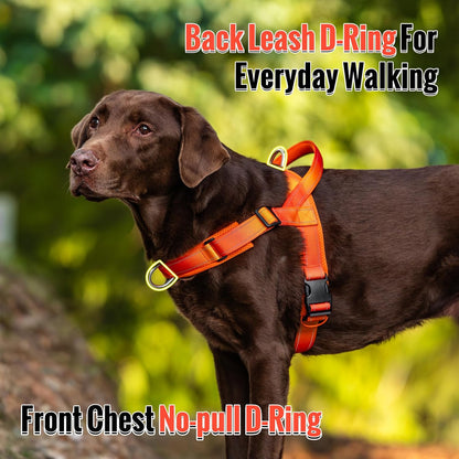 No Pull Dog Harness with Soft Mesh Padded, Fully Adjustable Walking Harness with Handle for Medium Large Dogs, Reflective Front Clip Harness for Training and Hiking, Orange, M