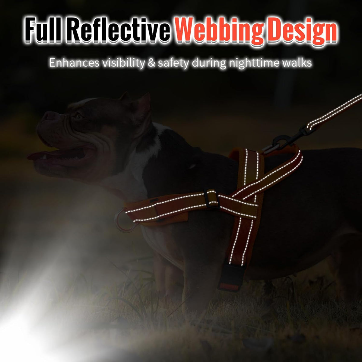 No Pull Dog Harness with Soft Mesh Padded, Fully Adjustable Walking Harness with Handle for Medium Large Dogs, Reflective Front Clip Harness for Training and Hiking, Orange, M