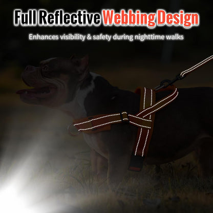 No Pull Dog Harness with Soft Mesh Padded, Fully Adjustable Walking Harness with Handle for Medium Large Dogs, Reflective Front Clip Harness for Training and Hiking, Orange, M