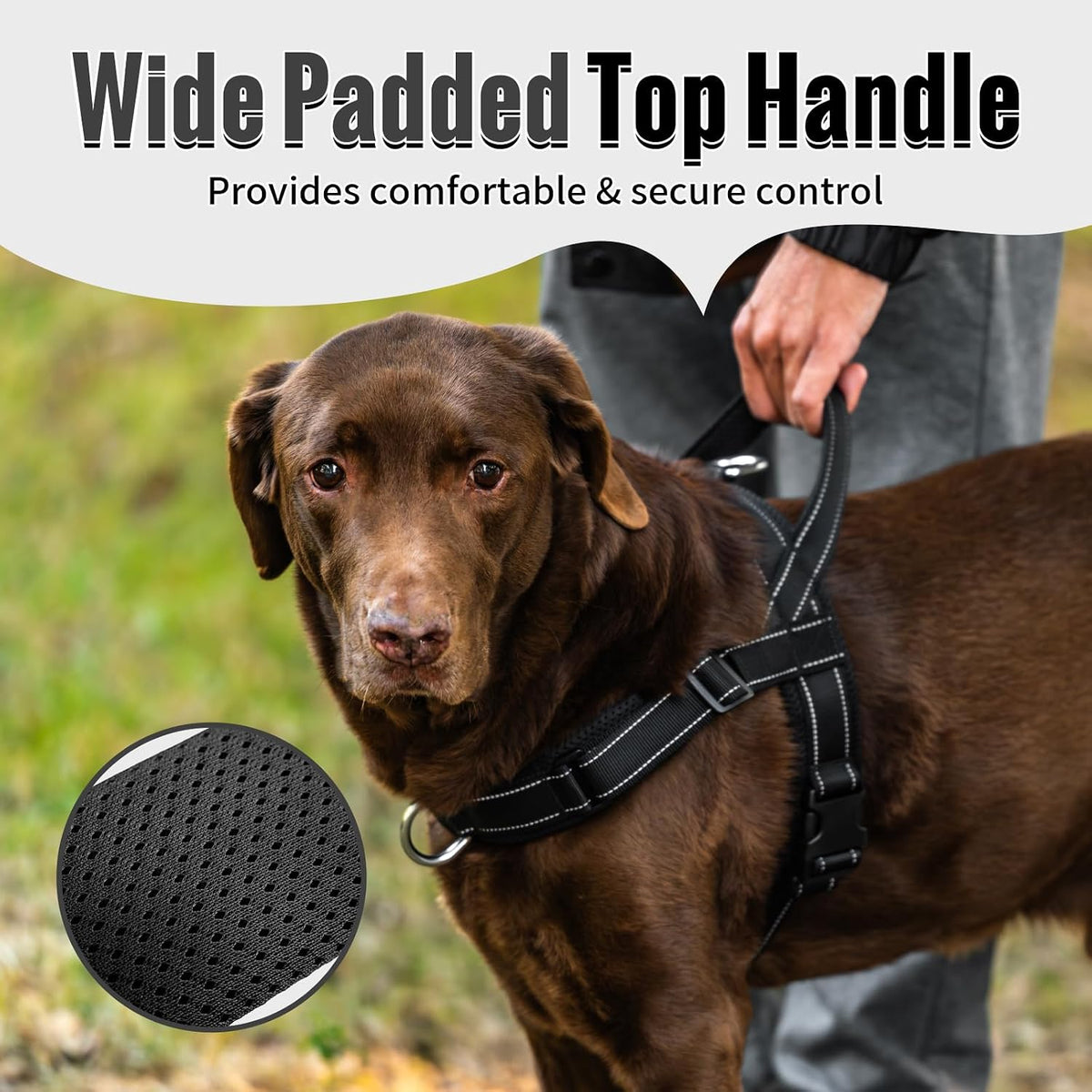 No Pull Dog Harness with Soft Mesh Padded, Fully Adjustable Walking Harness with Handle for Medium Large Dogs, Reflective Front Clip Harness for Training and Hiking, Orange, M