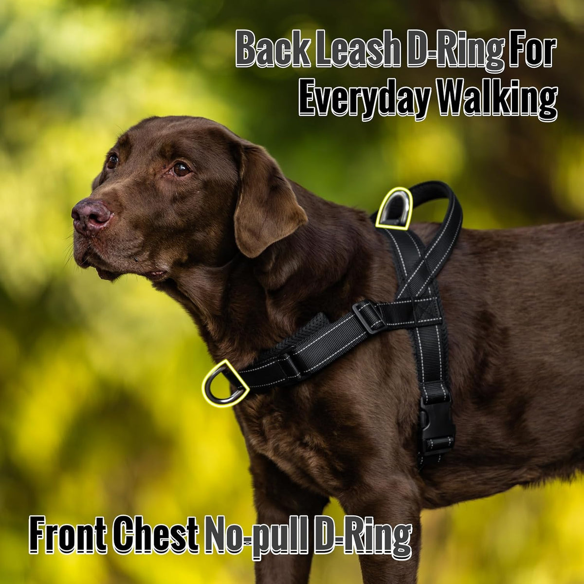 No Pull Dog Harness with Soft Mesh Padded, Fully Adjustable Walking Harness with Handle for Medium Large Dogs, Reflective Front Clip Harness for Training and Hiking, Orange, M
