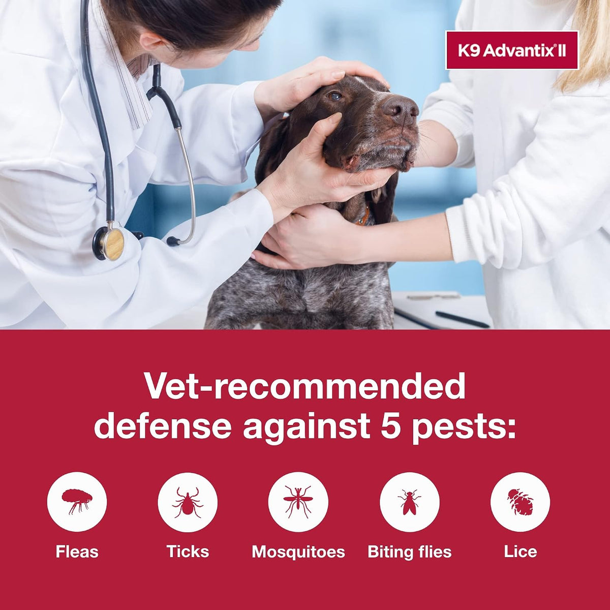 II XL Dog Vet-Recommended Flea, Tick & Mosquito Treatment & Prevention | Dogs Over 55 lbs. | 2-Mo Supply