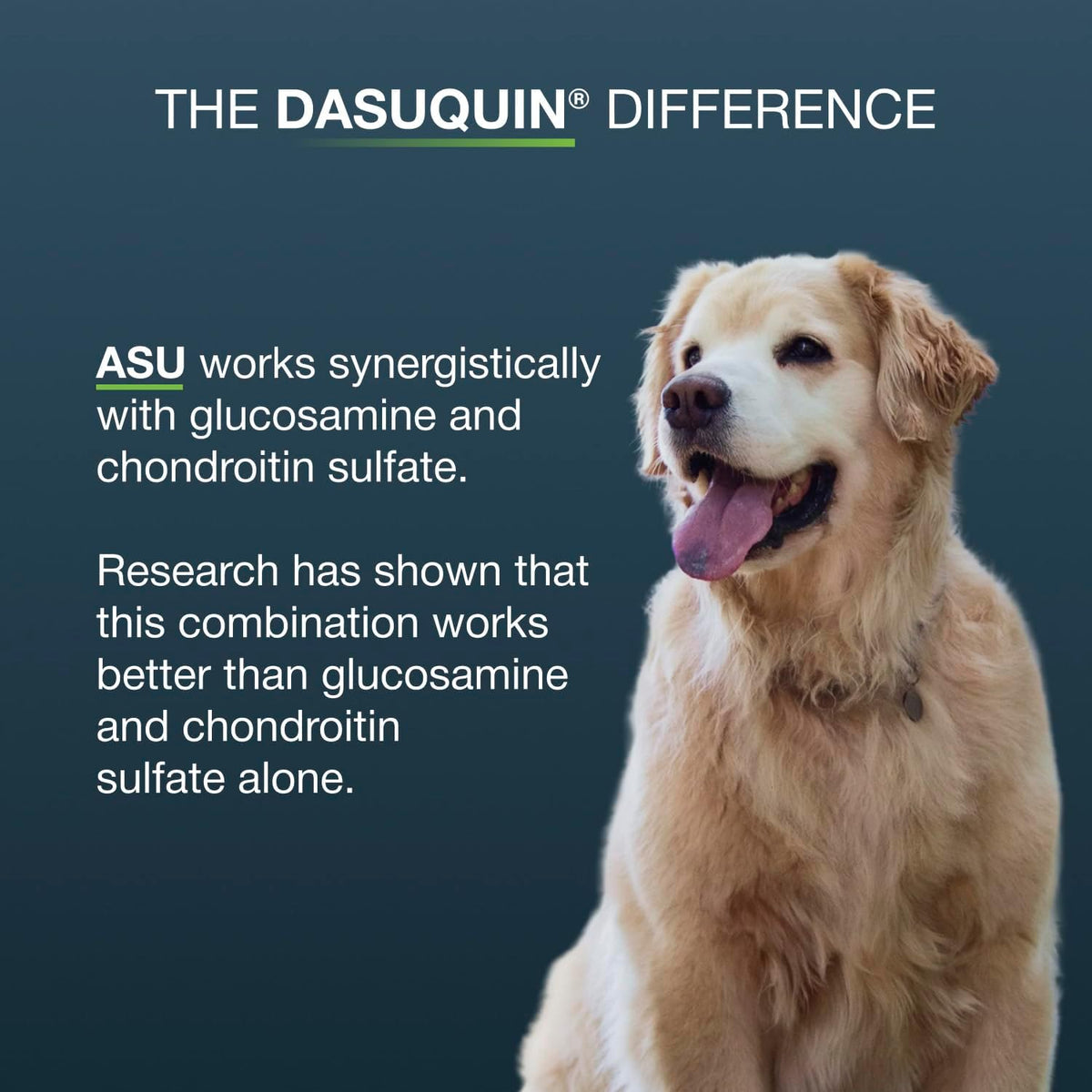 Nutramax Dasuquin Senior Joint Supplement for Large Dogs Soft Chews 84ct