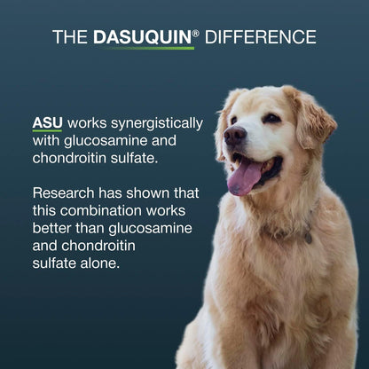 Nutramax Dasuquin Senior Joint Supplement for Large Dogs Soft Chews 84ct