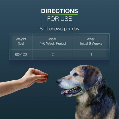 Nutramax Dasuquin Senior Joint Supplement for Large Dogs Soft Chews 84ct