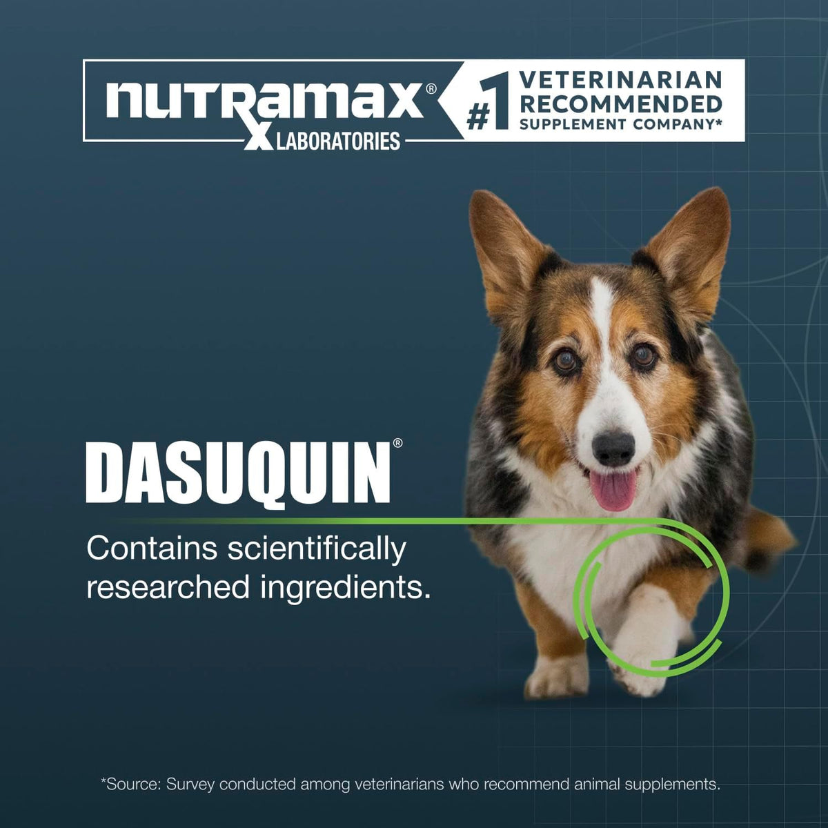 Nutramax Dasuquin Senior Joint Supplement for Large Dogs Soft Chews 84ct