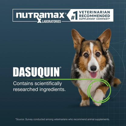 Nutramax Dasuquin Senior Joint Supplement for Large Dogs Soft Chews 84ct