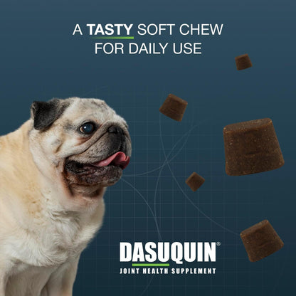 Nutramax Dasuquin Senior Joint Supplement for Large Dogs Soft Chews 84ct
