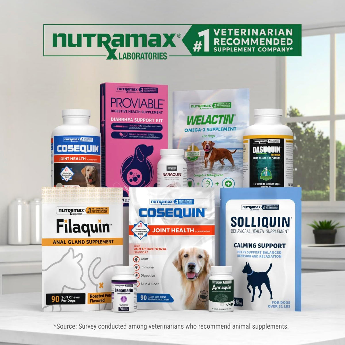 Nutramax Dasuquin Senior Joint Supplement for Large Dogs Soft Chews 84ct