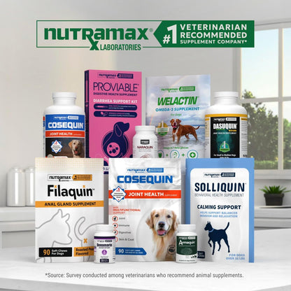 Nutramax Dasuquin Senior Joint Supplement for Large Dogs Soft Chews 84ct