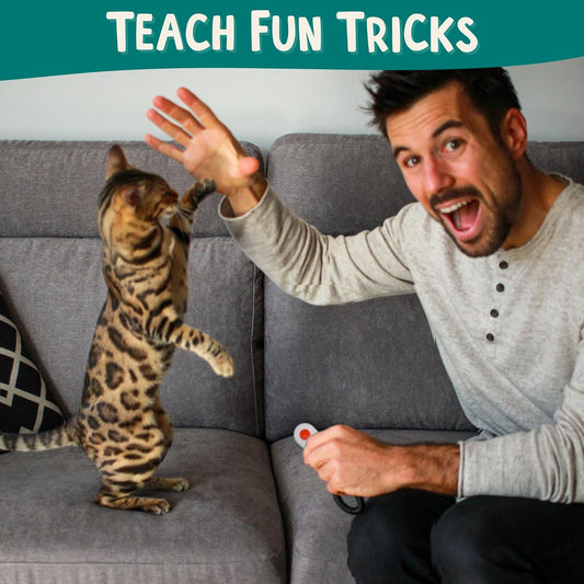 Cat Training Kit Quiet Clicker + Target Stick + Pouch + Guide