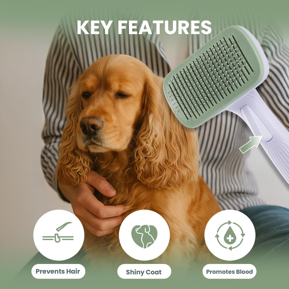Pink Deshedding Slicker Brush for Long and Short Hair Dogs | Removes Loose Undercoat, Mats and Tangles, Skin Friendly Grooming Comb for Shedding Control on Long and Short Hair
