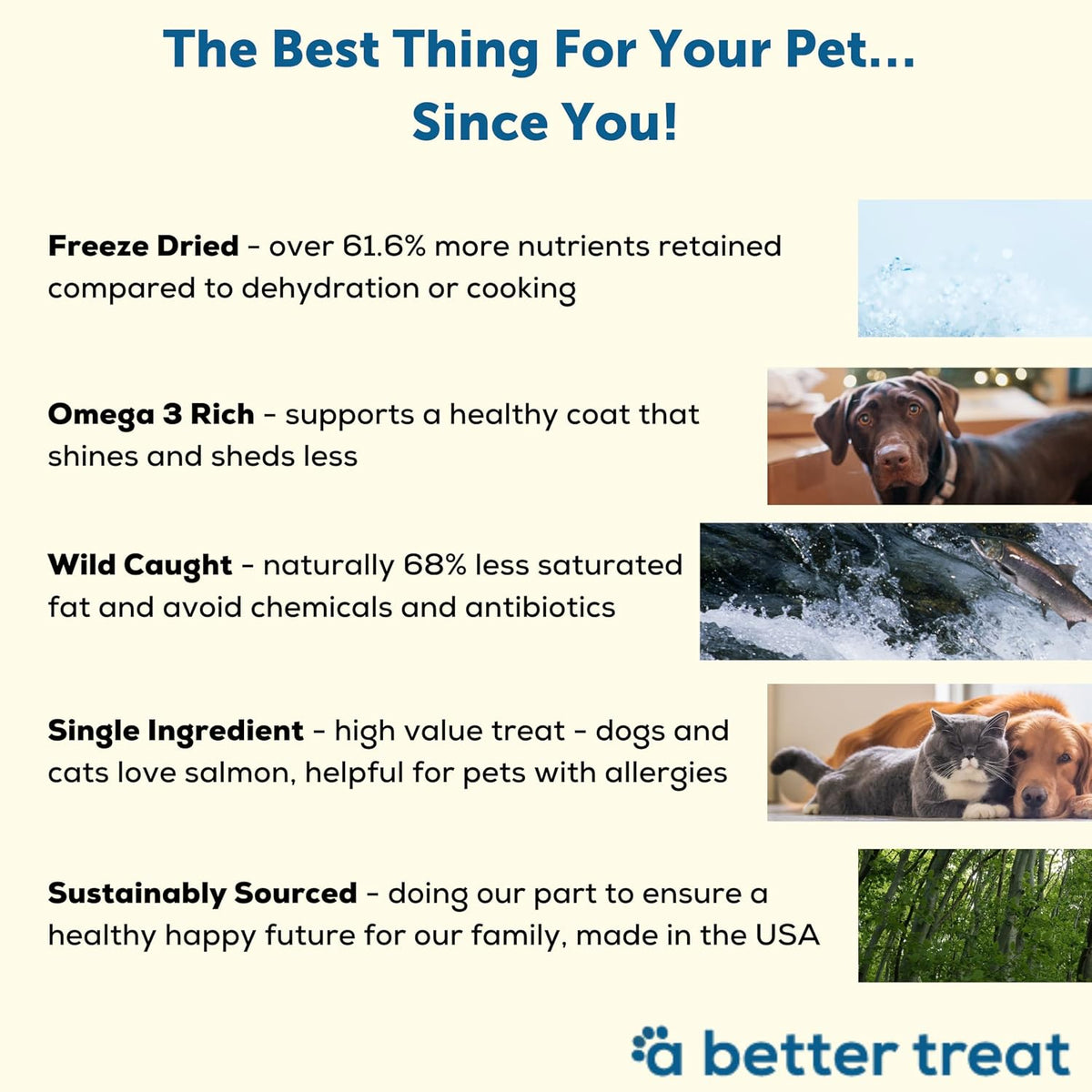 Freeze Dried Salmon Dog Treats, Wild Caught, Single Ingredient | Natural High Value | Gluten Free, Grain Free, High Protein, Diabetic