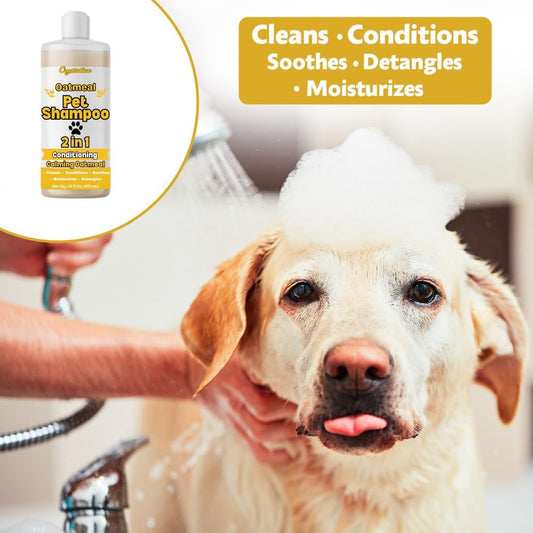 Oatmeal Dog Shampoo for Itchy Skin, Oatmeal Dog Shampoo Sensitive Skin,16oz