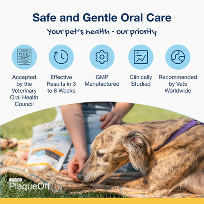 Dental Bones for Dogs - Turkey & Cranberry - 17 oz