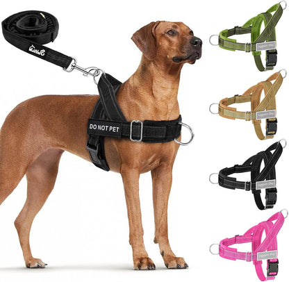 No Pull Dog Harness and Leash Set, Soft Padded for Large Medium Dog