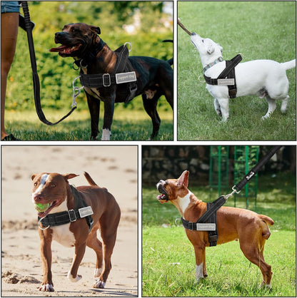 No Pull Dog Harness and Leash Set, Soft Padded for Large Medium Dog