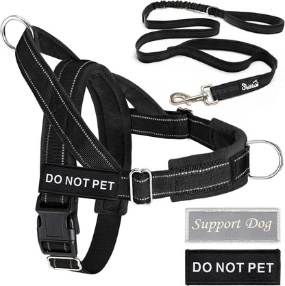 No Pull Dog Harness and Leash Set, Soft Padded for Large Medium Dog