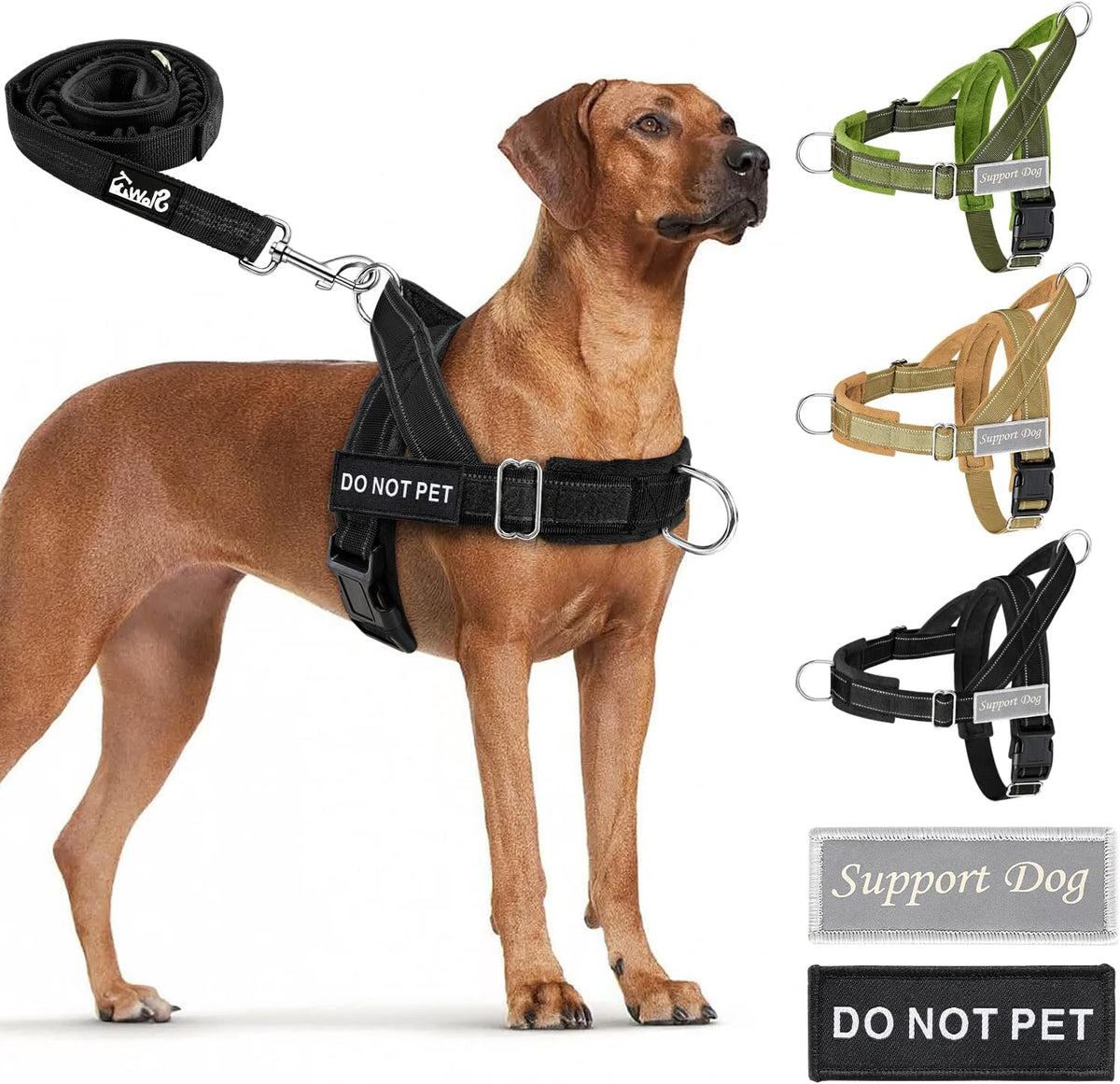 No Pull Dog Harness and Leash Set, Soft Padded for Large Medium Dog