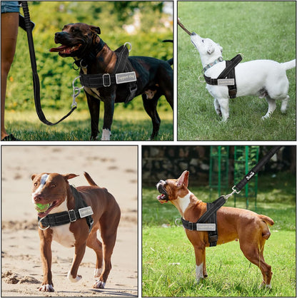 No Pull Dog Harness and Leash Set, Soft Padded for Large Medium Dog