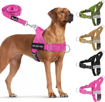 No Pull Dog Harness and Leash Set, Soft Padded for Large Medium Dog