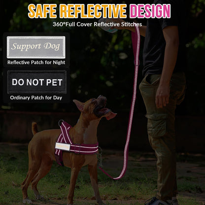 No Pull Dog Harness and Leash Set, Soft Padded for Large Medium Dog