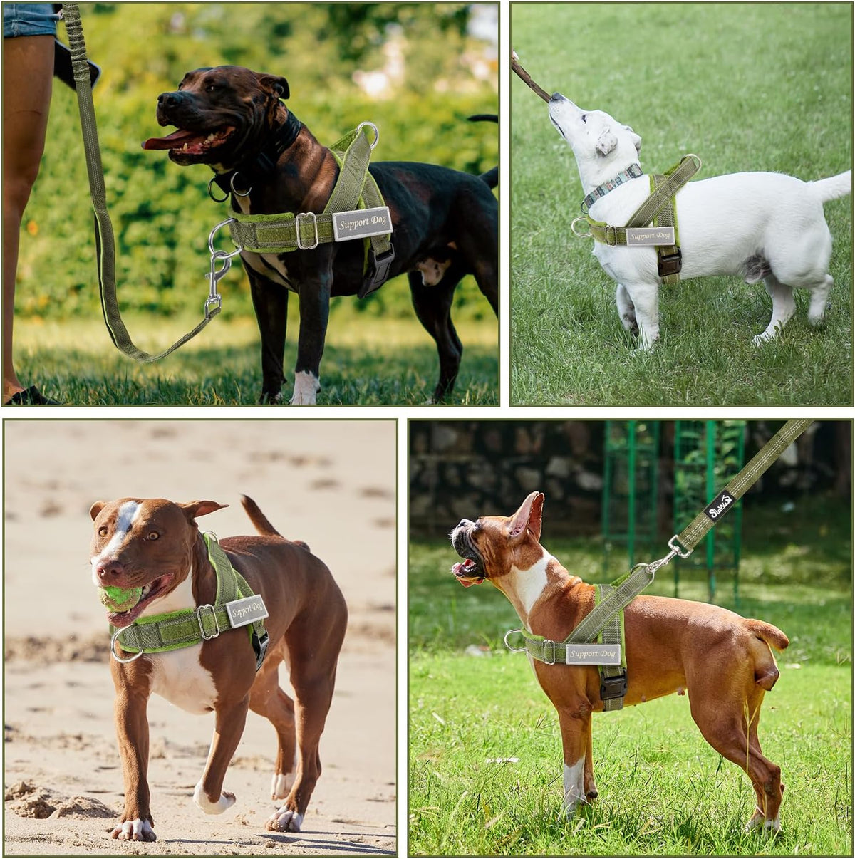 No Pull Dog Harness and Leash Set, Soft Padded for Large Medium Dog