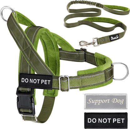No Pull Dog Harness and Leash Set, Soft Padded for Large Medium Dog