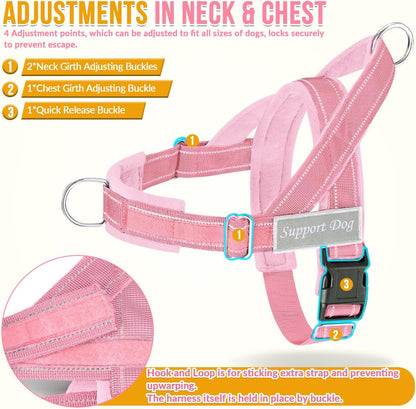 No Pull Dog Harness and Leash Set, Soft Padded for Large Medium Dog