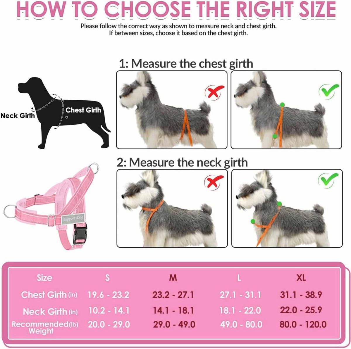 No Pull Dog Harness and Leash Set, Soft Padded for Large Medium Dog