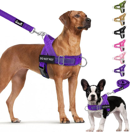 No Pull Dog Harness and Leash Set, Soft Padded for Large Medium Dog