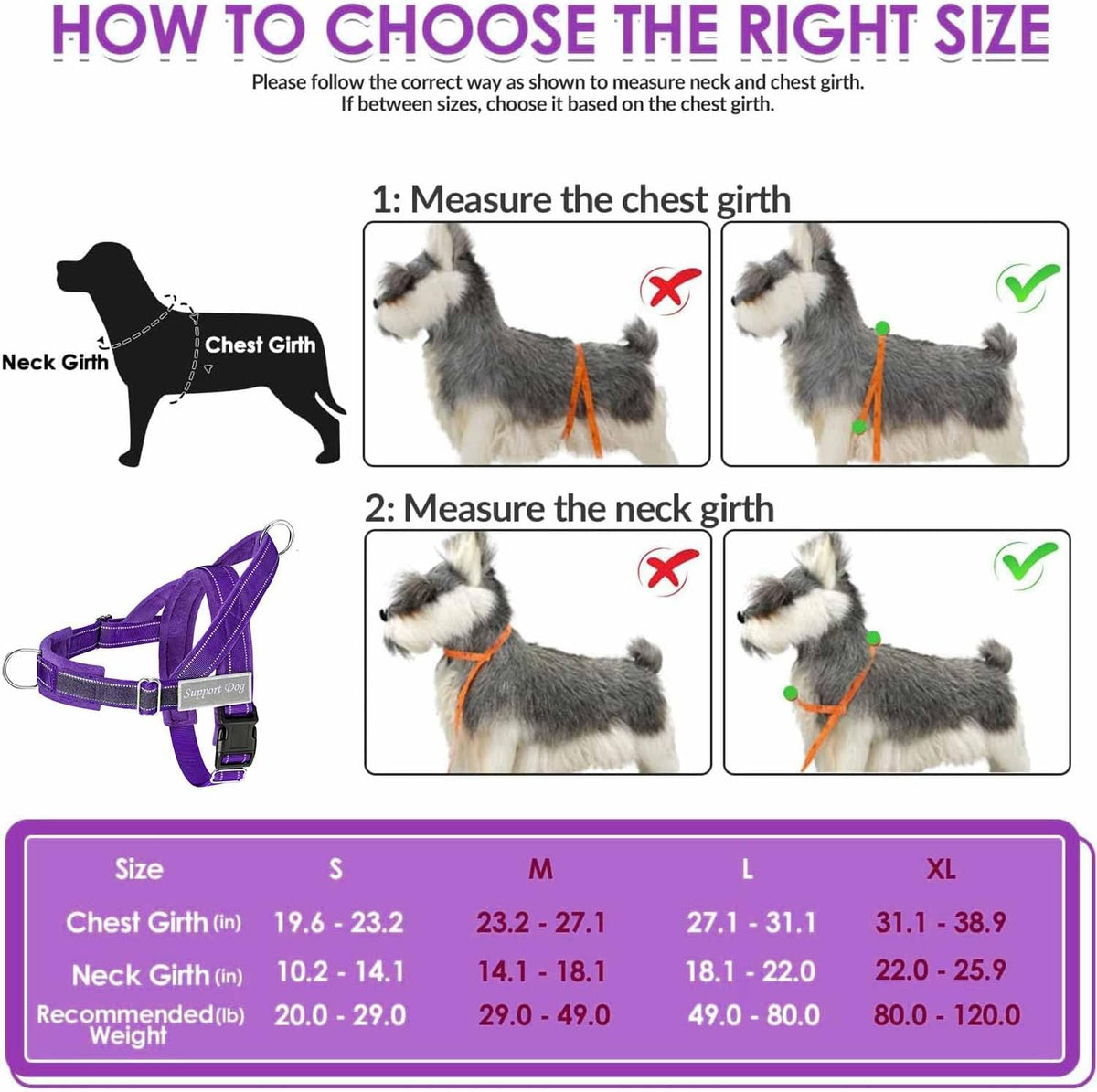 No Pull Dog Harness and Leash Set, Soft Padded for Large Medium Dog