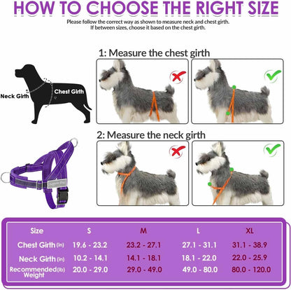 No Pull Dog Harness and Leash Set, Soft Padded for Large Medium Dog