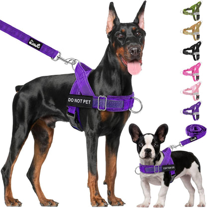 No Pull Dog Harness and Leash Set, Soft Padded for Large Medium Dog