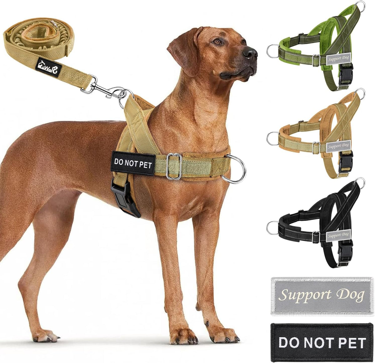 No Pull Dog Harness and Leash Set, Soft Padded for Large Medium Dog
